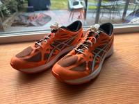 ASICS Gel-DS Trainer 20 Gr. 46 29 cm 20th anniversary Essen - Essen-Werden Vorschau