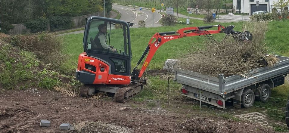 Bagger Minibagger mieten Vermietung Kubota KX19 1,9t in Güglingen