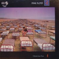 Pink Floyd – A Momentary Lapse Of Reason Vinyl / LP /Schallplatte Mecklenburg-Vorpommern - Samtens Vorschau