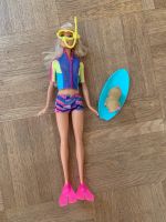 Barbie Taucherin - Farbwechsel Jacke - mit Surferhund Hessen - Messel Vorschau