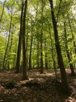 Leben gegen Hilfe auf einem Bauernhof Nordrhein-Westfalen - Velbert Vorschau