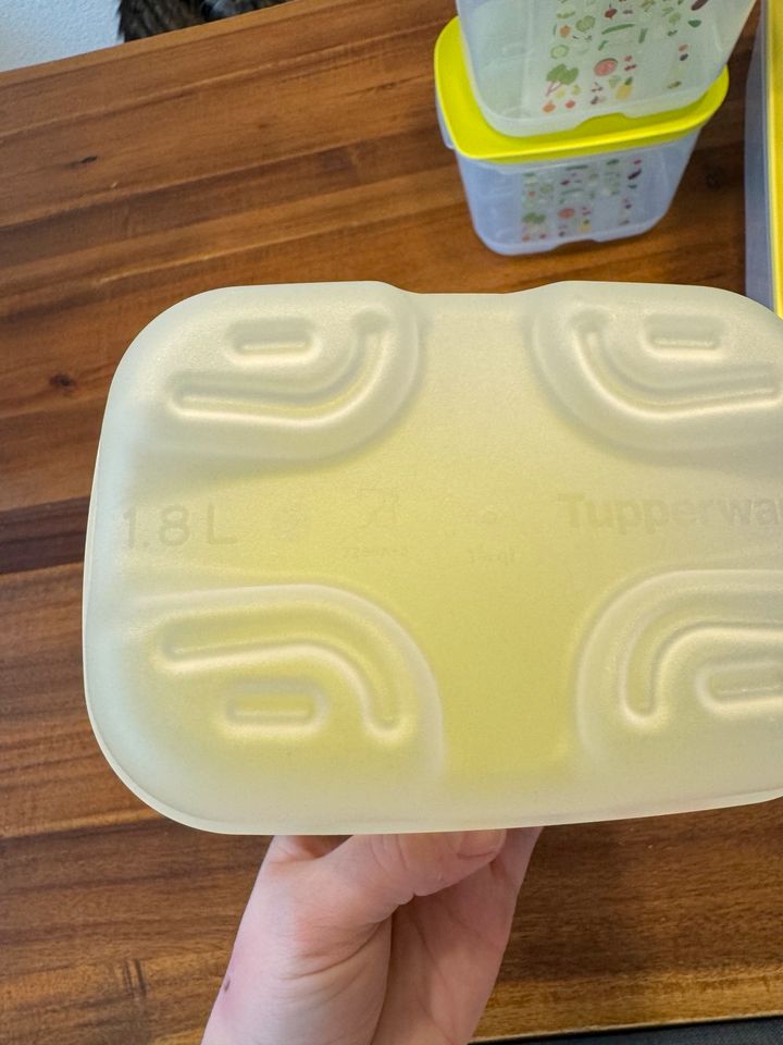 Tupperware Klimaoase 1,8l 4,4l 6,1l Gemüse Dosen Kühlschrank Obst in Achern