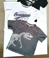 Neu: 2 T-shirts, Gr. 98, SET, Dino/ Dinosaurier/Superman/dopodopo Rheinland-Pfalz - Sinzig Vorschau