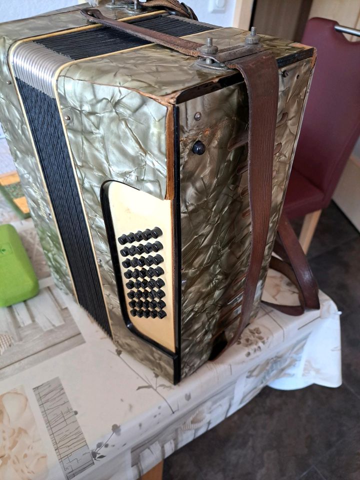 Altes Accordeon in Roth