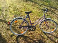 Fahrrad Diamant Retro 26 Zoll Sachsen - Großschirma Vorschau