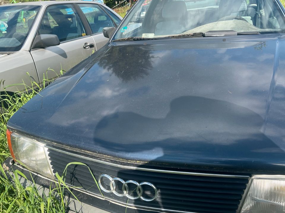 2x Audi 100 in Groß Miltzow