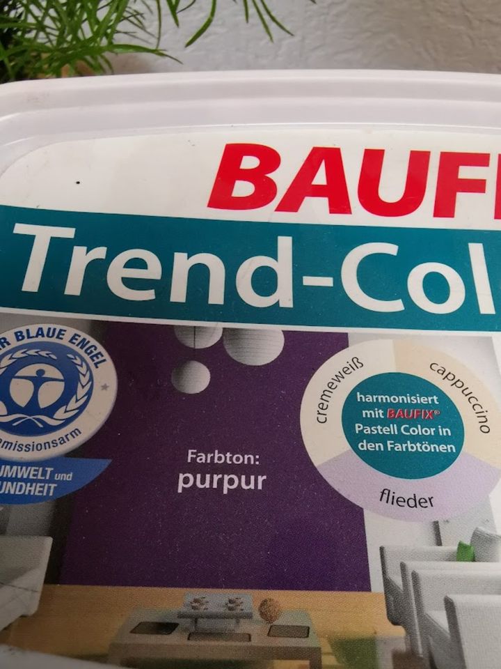 BAUFIX Trend-Color purpur NEU & OVP in Kulmbach