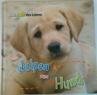 Für Erstleser: Vom Welpen zum Hund  Bayern - Großheirath Vorschau