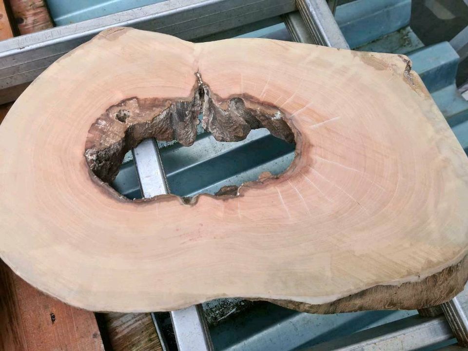 Holz Scheiben für Epoxidharz in Mietingen