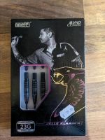 Jelle Klassen Darts 23g Nordrhein-Westfalen - Attendorn Vorschau