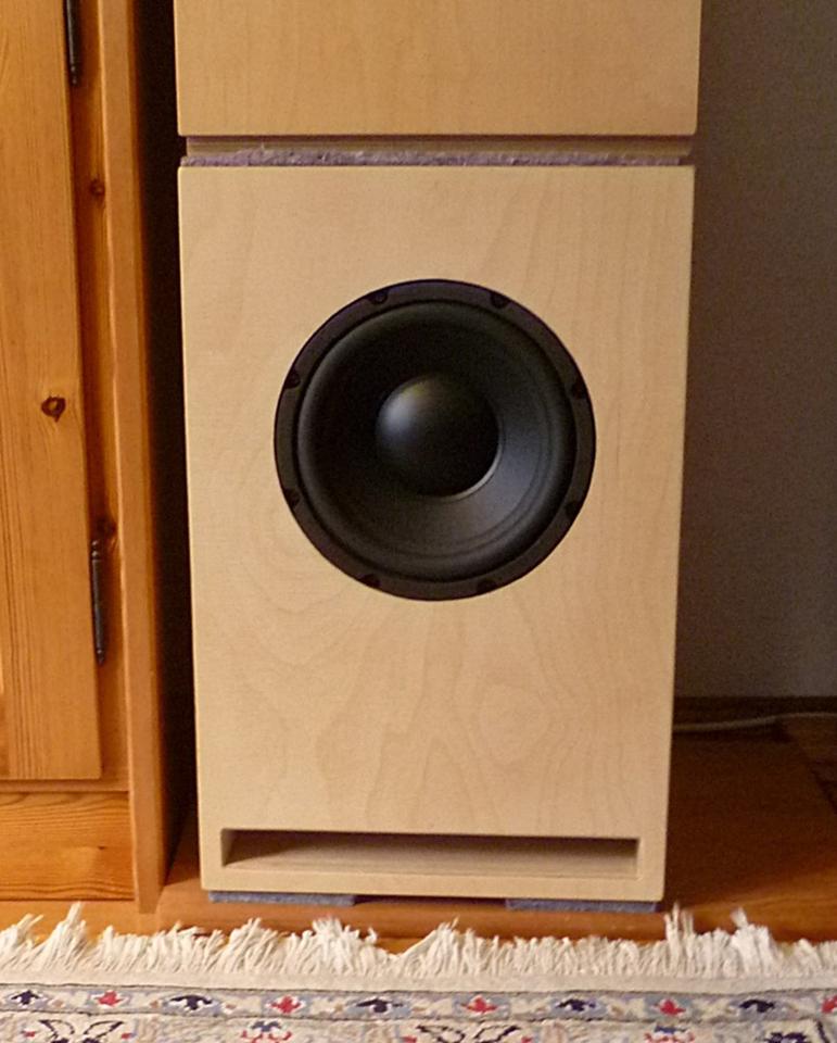 2 Party HiFi Home Lautsprecher *2-Wege-Horn PA Lautsprecher in Hage
