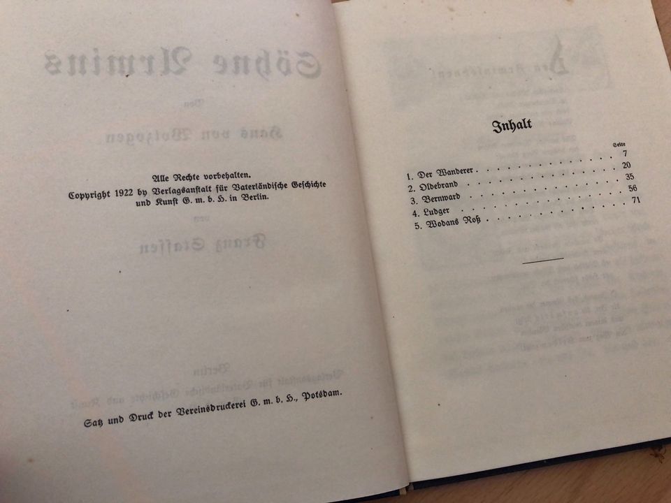 100 Jahre altes Buch Söhne Armins Antiquität in Nieheim