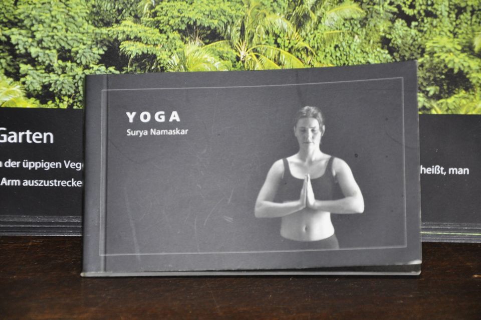 Yoga Surya Namaskar Flip Book Daumenkino Sonnengruß in Spiegelberg