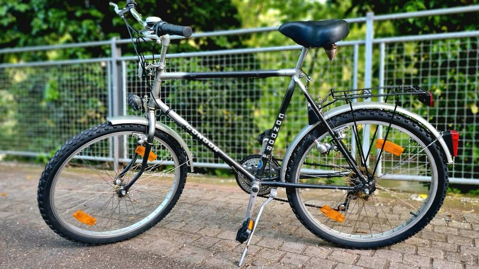 Herrenfahrrad 26" 21-Gang in Karlsruhe