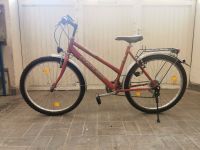 Conquest 26 Zoll Fahrrad 18 Gang Shimano Schaltung Hessen - Aarbergen Vorschau