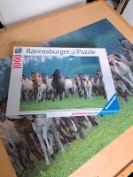 Ravensburger Puzzle 1000 Teile Pferde Niedersachsen - Seevetal Vorschau