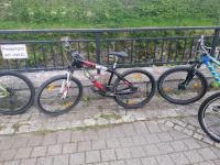 Fahrräder in Seher gute Zustand Baden-Württemberg - St. Blasien Vorschau