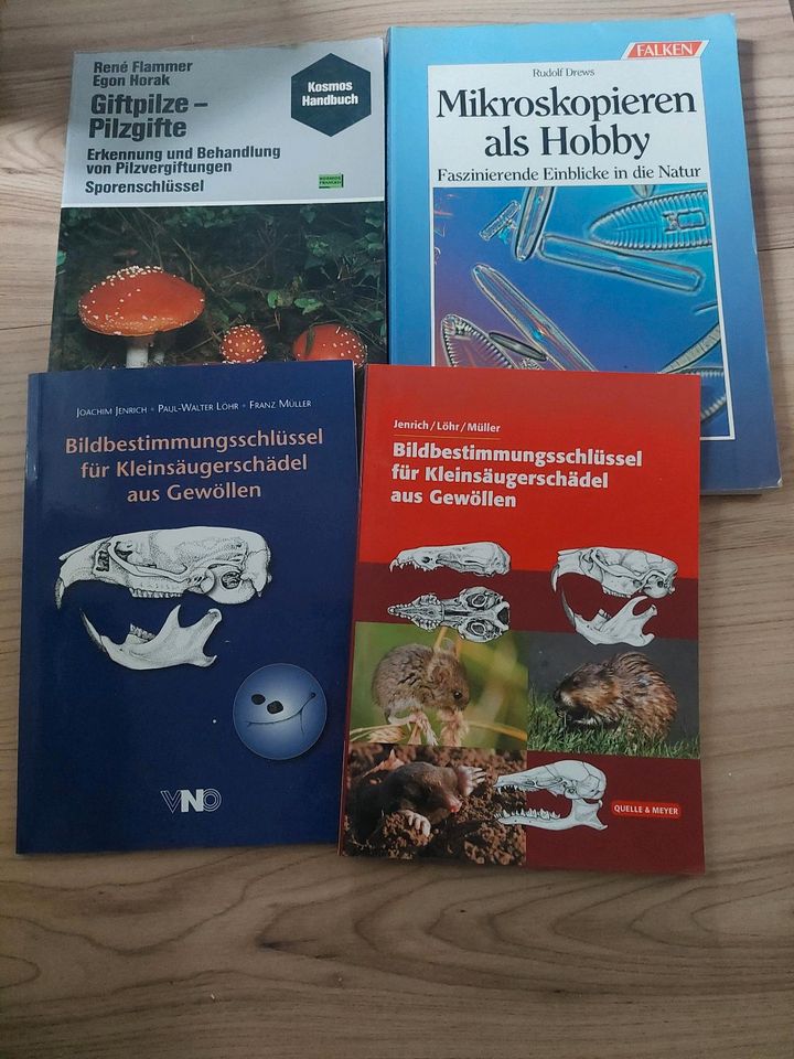 ☆ Bücher Natur Spinnen Vögel Käfer Blätter Insekten Buch in Oldenburg