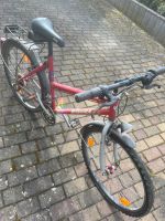 Fahrrad Winora rot 26 Zoll für Bastler Mountainbike Hessen - Burghaun Vorschau