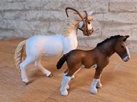 Schleich Pferde Horse Club Nordrhein-Westfalen - Geseke Vorschau