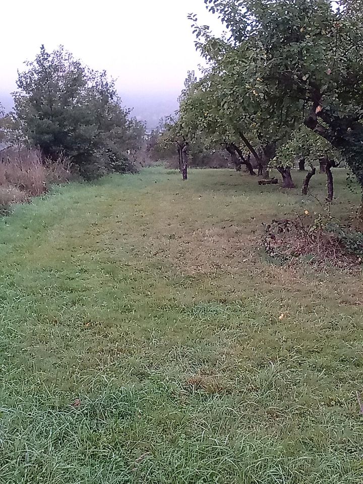 Gartengrundstück direkt am Rhein in Rheinbreitbach