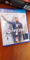 Fifa 23 PSP 4 Rheinland-Pfalz - Mainz Vorschau