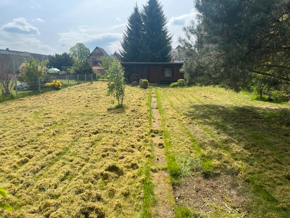 Vertikutieren Gartenlandschaftspflege in Beverungen