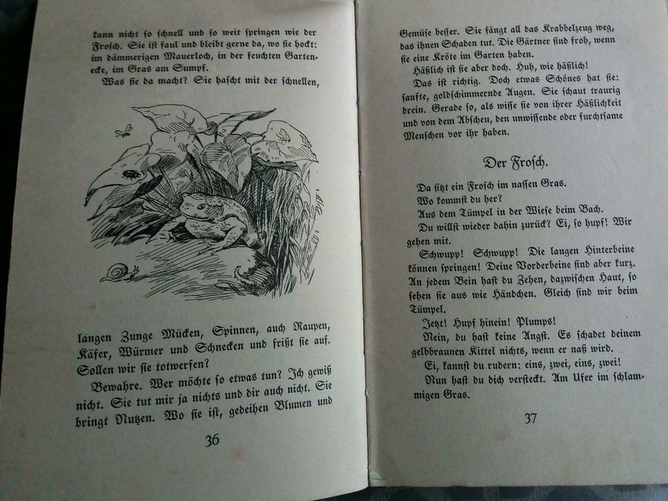 Sehr alt! 1929 Weißt du wie die Tiere leben? H. Pages Boppard in Dauchingen