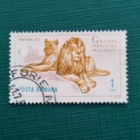 Löwe Lion Bukarest Raubtier Briefmarke #0989 Niedersachsen - Aurich Vorschau
