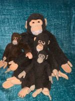 Steiff Affen Sammlung sehr alt Rarität Nordrhein-Westfalen - Mönchengladbach Vorschau