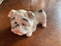 Bulldogge Hund Porzellan Figur 11 cm Pankow - Prenzlauer Berg Vorschau