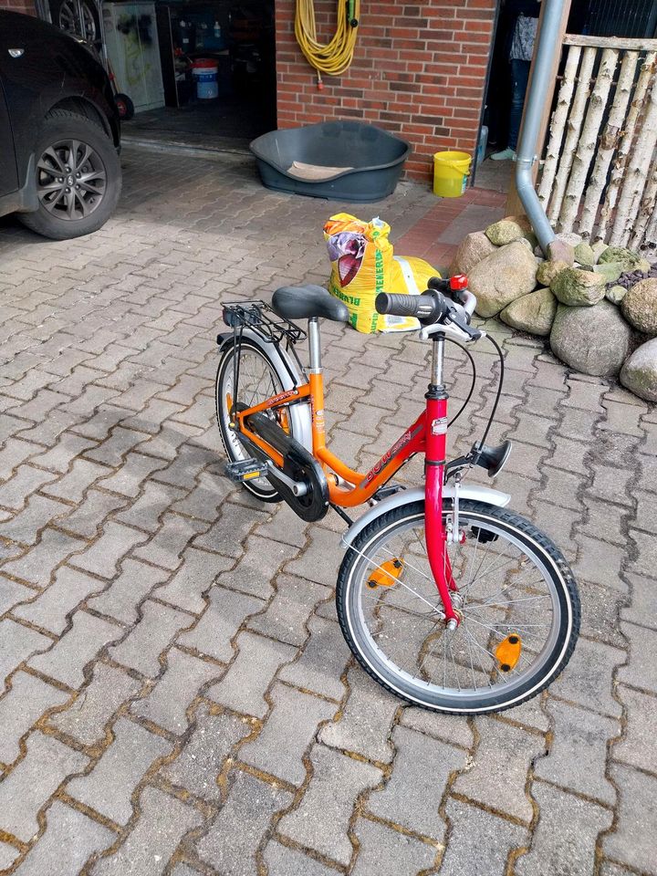 Kinder Fahrrad in Papenburg