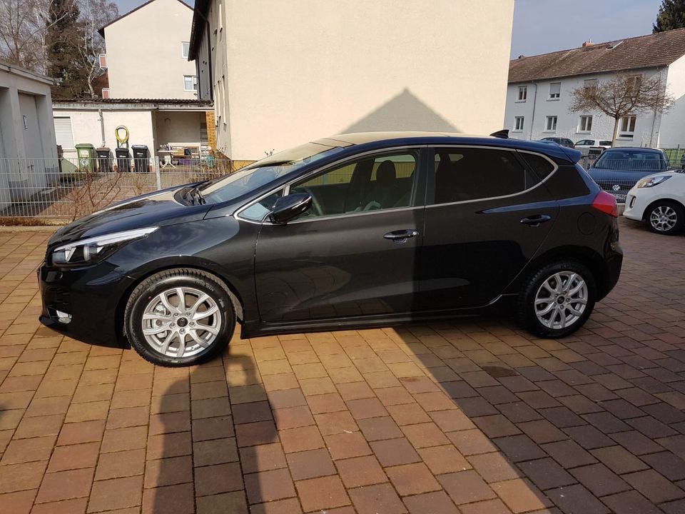 Ceed 1.6 CRDi 136 ISG GT Line in Dietzenbach