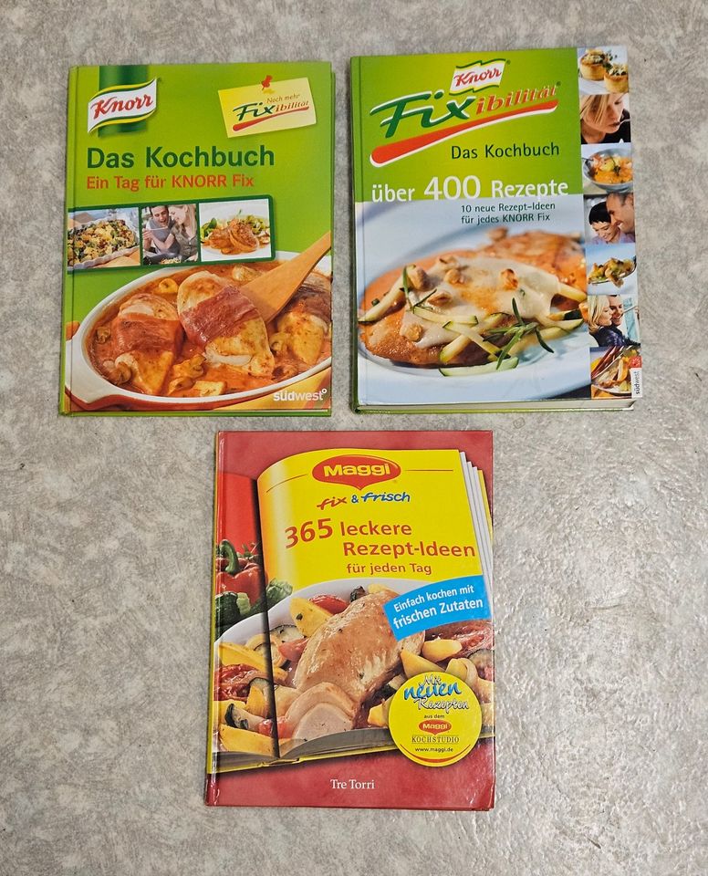 3 Kochbücher Knorr / Maggi Fix & Frisch Fixibilität in Kühbach