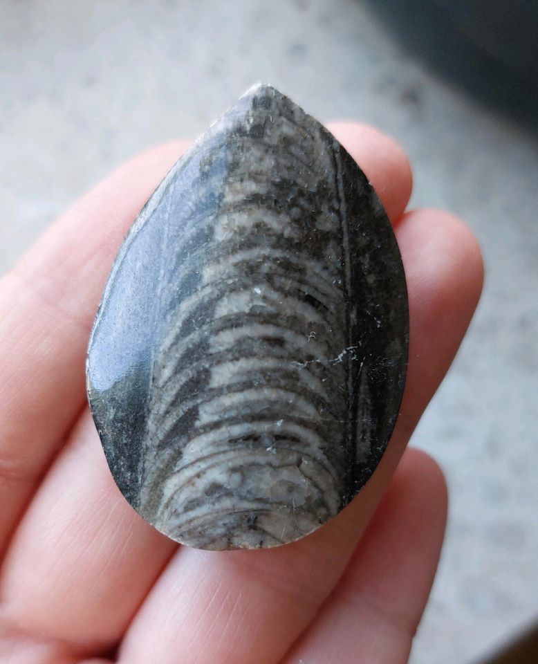 Obsidian Selenit Tigerauge Mineraliensammlung kugeln edelsteine in Regensburg