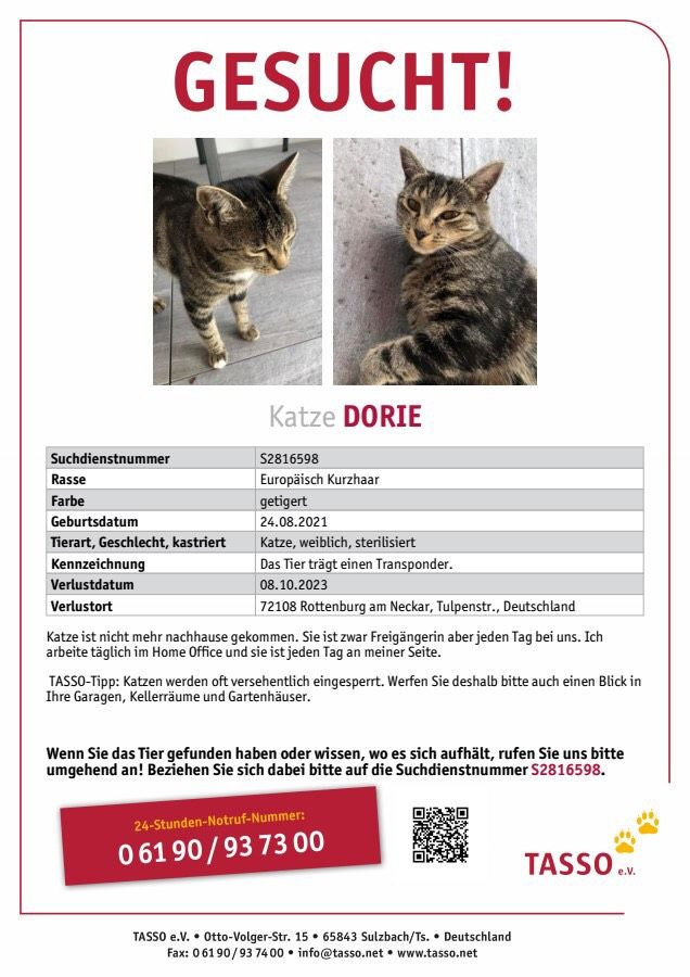 Wir suchen unsere Katze Dorie in Rottenburg am Neckar