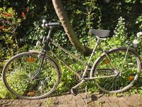 Fischer Damenfahrrad 27" Gangschaltung defekt Altona - Hamburg Bahrenfeld Vorschau