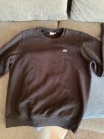 Lacoste Pulli Woltmershausen - Rablinghausen Vorschau