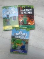 Minecraft Buch / Set 3 Bücher Aachen - Kornelimünster/Walheim Vorschau