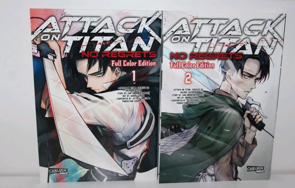 Attack on Titan 1 - 34 + Extras in Geist