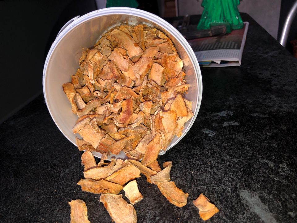 Hokkaidokürbis Chips Welsfutter in Beilrode