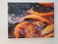Fotodruck auf Leinwand 30x40 Gold Forelle Fisch Angel Foto Nordrhein-Westfalen - Beelen Vorschau