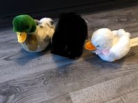 2 Kuscheltiere Enten Wildenten Teddy Hermann Kollektion Neu Nordrhein-Westfalen - Preußisch Oldendorf Vorschau