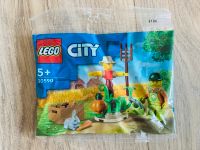 Lego City 30590 Bauernhofgarten mit Vogelscheuche NEU & OVP Bayern - Niedernberg Vorschau