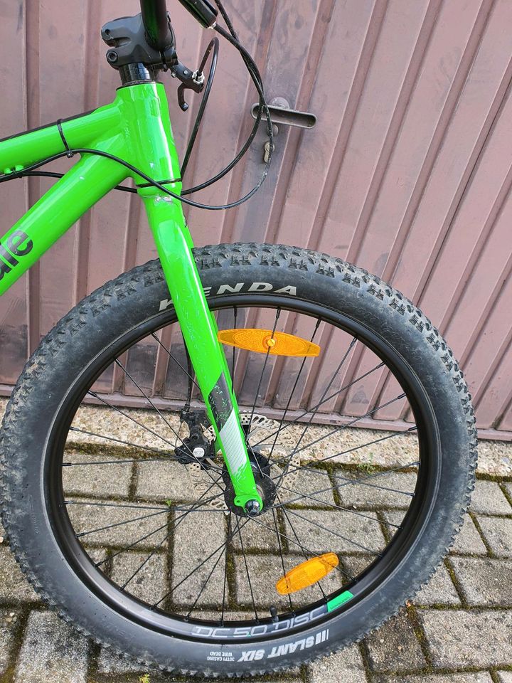 Cannondale Kids Cujo 24 in Georgsmarienhütte