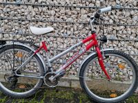 Fahrrad PRINCE 26 Zoll 21 Gang Rheinland-Pfalz - Germersheim Vorschau