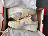 Nike Dunk low in 40 Sachsen - Grimma Vorschau
