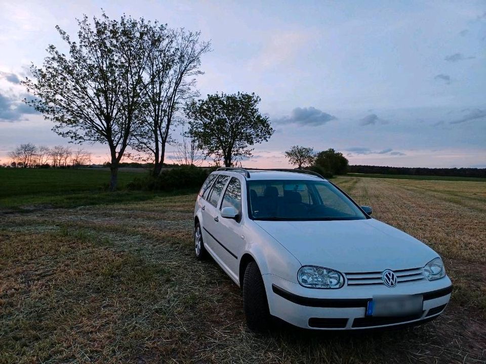 VW Golf 4 Kombi in Jübar