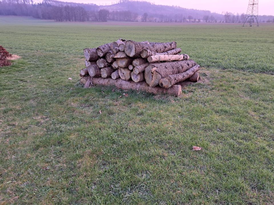 Holz/Feuerholz/Brennholz getrocknet Fichte in Cunewalde