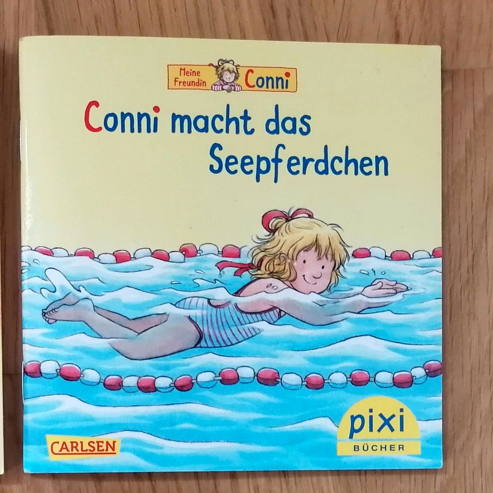 Pixi Büchlein kleine Bücher Conni Lars Eisbär Paw Patrol in Rain Lech